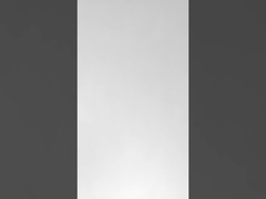 Teambuilding beim Festival der Drachenboote